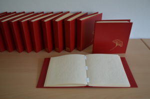 Ein aufgeschlagenes Braillebuch, im Hintergrund aufgereiht mehrere Buchdeckel