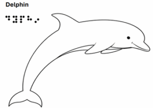 Delphin - grafische Darstellung mit Text in Schrift und Braille 
