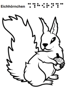 Eichhörnchen - grafische Darstellung mit Text in Schrift und Braille 