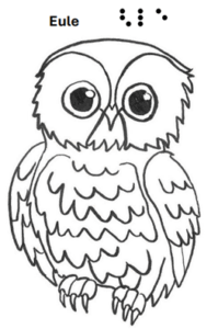 Eule - grafische Darstellung mit Text in Schrift und Braille 