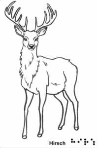 Hirsch - grafische Darstellung mit Text in Schrift und Braille 