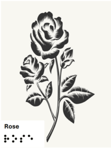 Rose - grafische Darstellung mit Text in Schrift und Braille 