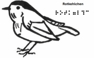 Rotkehlchen - grafische Darstellung mit Text in Schrift und Braille 