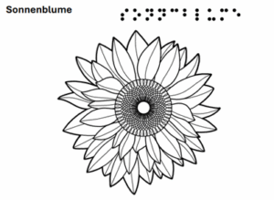 Sonnenblume - grafische Darstellung mit Text in Schrift und Braille 