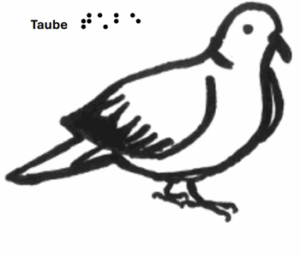 Taube - grafische Darstellung mit Text in Schrift und Braille 