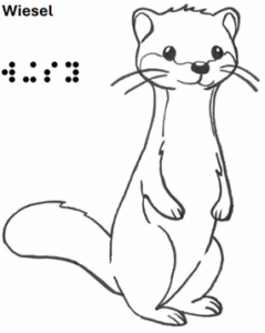 Wiesel stehend - grafische Darstellung mit Text in Schrift und Braille 